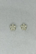 Aretes