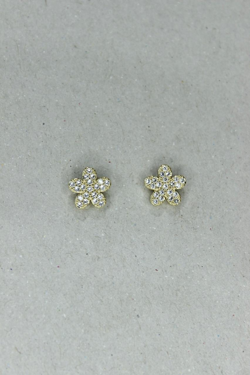 Aretes